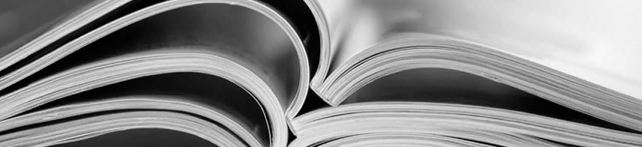 Vittorio Busato -Wetenschappelijke publicaties